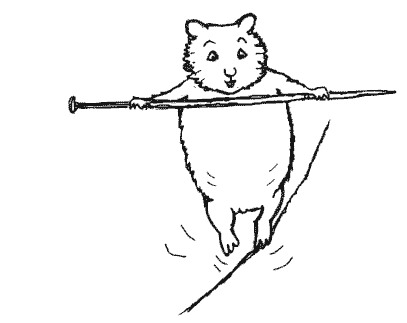 Boo the stunt hamster tries tightrope walking