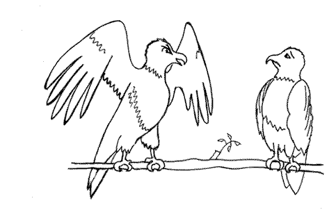 Baldwig the eagle flaps his wings angrily at Cosmo