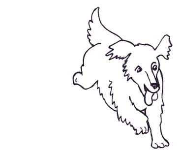 Ragbag the happy mongrel dog